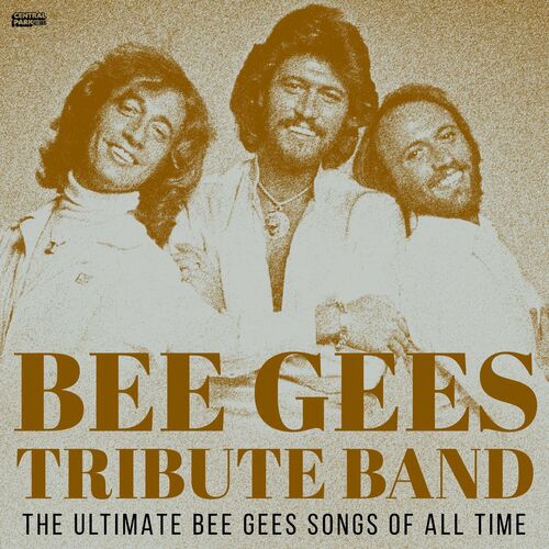 Bee Gees Tribute Band